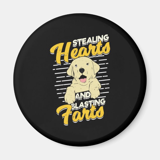 Labrador Retriever Stealing Hearts Magnet (Front)