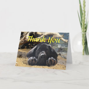 Labrador Retriever Thank You Card