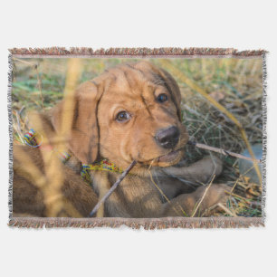 Labrador Retriever Throw Blanket