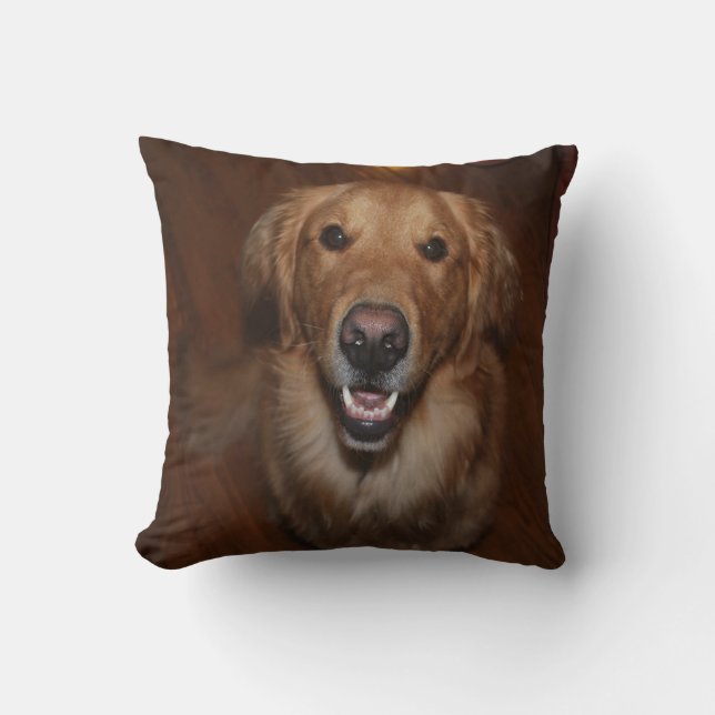 Labrador retriever throw pillow (Front)