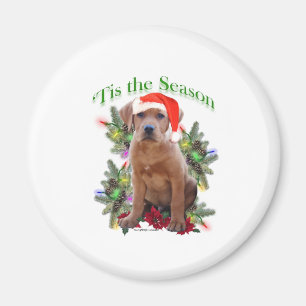 Labrador Retriever ‘Tis Magnet