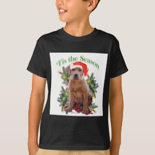 Labrador Retriever ‘Tis T-Shirt