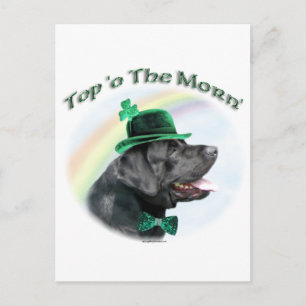 Labrador Retriever Top of the Morn Postcard