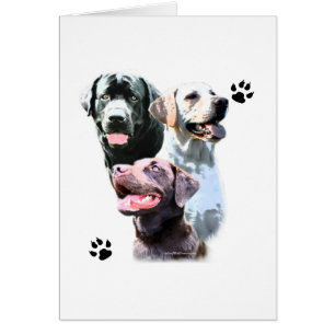 Labrador Retriever Trio