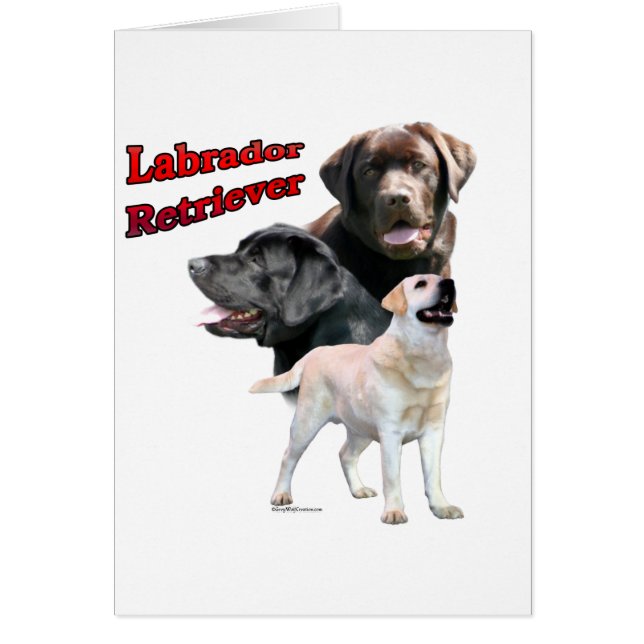 Labrador Retriever Trio 2 (Front)