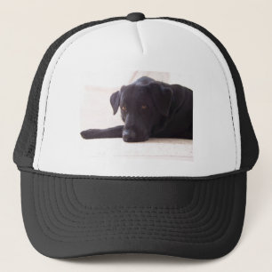 labrador retriever trucker hat