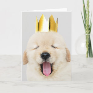 Labrador retriever WITH CROWN Folded Greeting Card