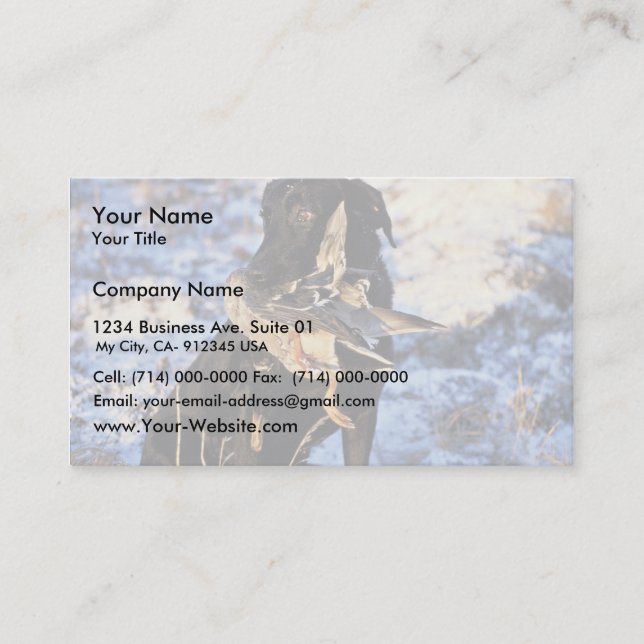 Labrador Retriever with Drake Mallard Business Card (Front)