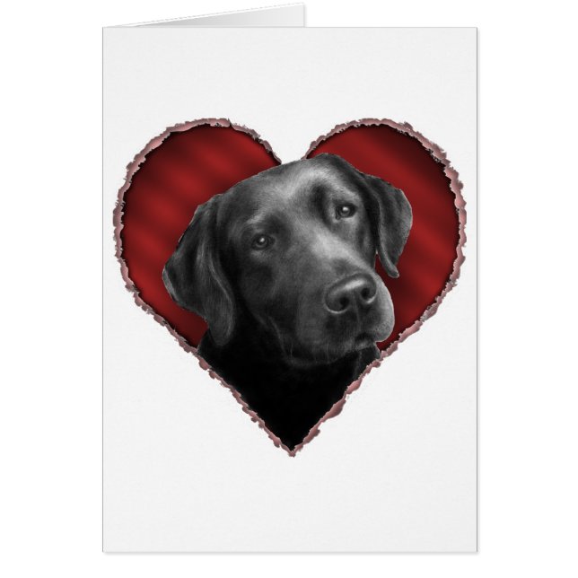 Labrador Retriever with Heart (Front)