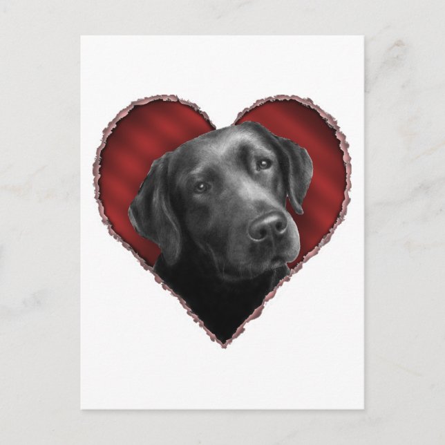 Labrador Retriever with Heart Postcard (Front)