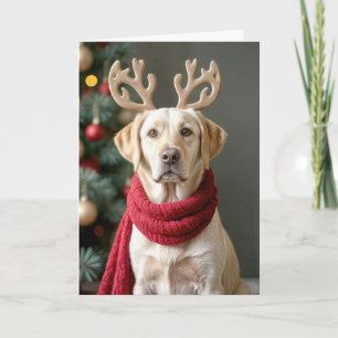 Labrador Retriever With Reindeer Antlers Holiday Card
