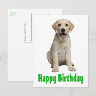 Labrador Retriever Yellow Lab Puppy Dog Birthday Postcard