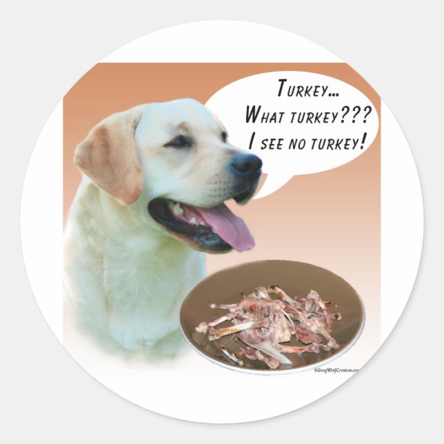 Labrador Retriever (yellow) Turkey Classic Round Sticker (Front)