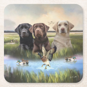Labrador Retrievers, (Hunting dogs)  Square Paper Coaster