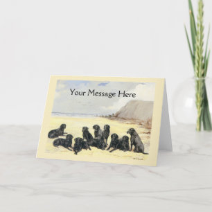 Labrador Retrievers On The Beach Greeting Card