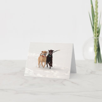 Labrador Retrievers Playing In Snow Greeting Card