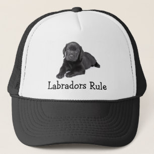 Labrador Retrievers Rule Puppy Baseball Hat