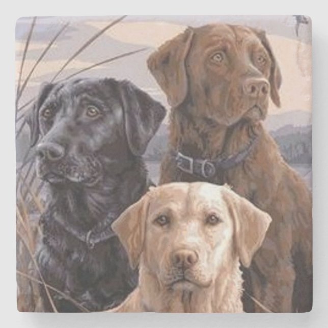 Labrador Retrievers Stone Coaster (Front)