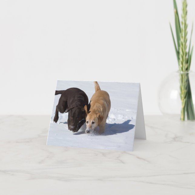 Labrador Retrievers Tracking In Snow Greeting Card (Front)