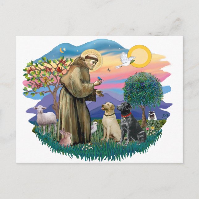 Labrador Retrievers (two) Postcard (Front)