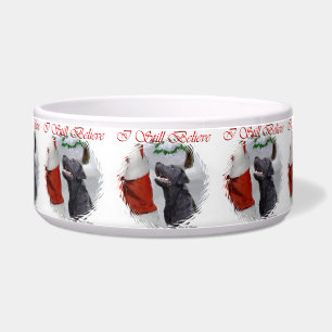 Labrador Rretriever Believe Christmas