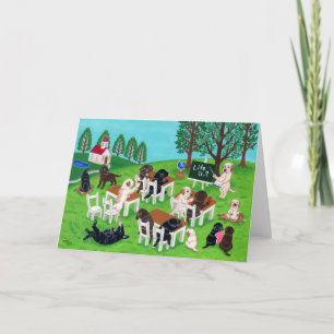 Labrador School Card