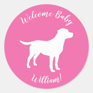 Labrador Theme Dog Baby Shower Pink Lab Classic Round Sticker