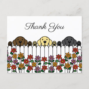 Labrador Trio Vous regarde Carte postale Merci