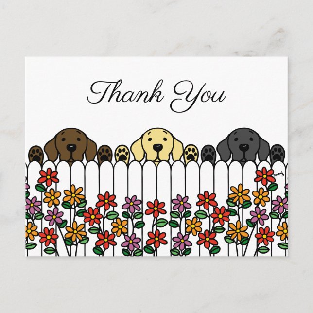 Labrador Trio Watching You Thank You Postcard (Front)
