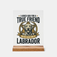 Labrador Vrai Ami Conception Vintage Amateur de Ch