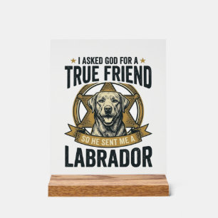 Labrador Vrai Ami Conception Vintage Amateur de Ch