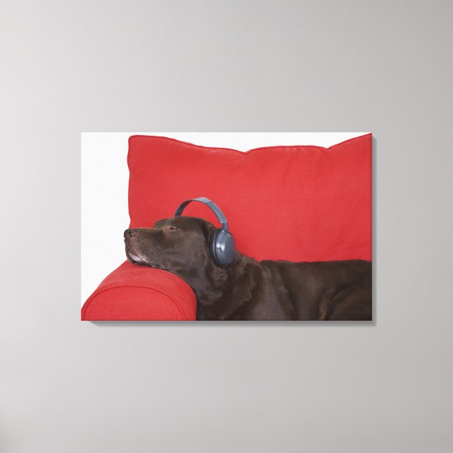 Labrador wearing headphones lying on sofa canvas print (Front)
