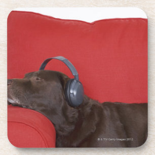 Labrador wearing headphones lying on sofa coaster