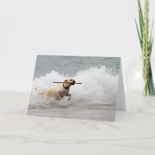 Labrador - Yellow - Go Fetch! Card (Front)