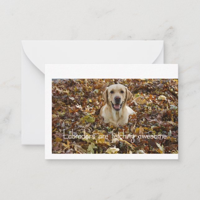 Labradors are Fetching Awesome Card (Front)