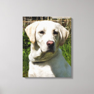 LABRADORS CANVAS PRINT
