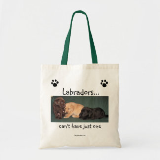 Labradors… ne peut pas avoir juste un sac