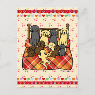 Labradors on the King Size Bed Postcard