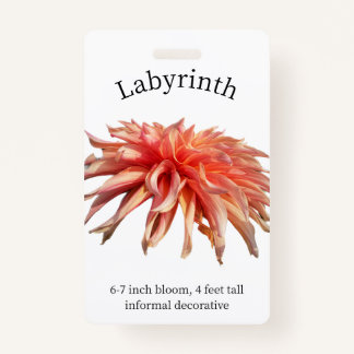 Labyrinth Dahlia ID Badge