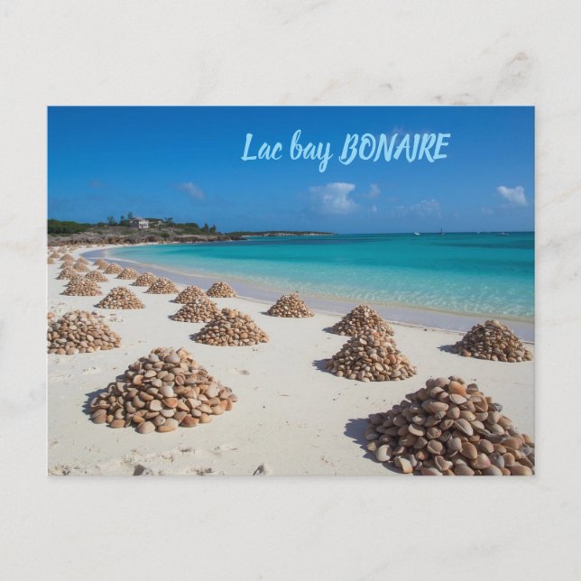 Lac bay bonaire postcard (Front)