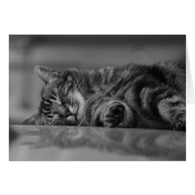 Lac de Côme Chat - 3 B&W (Devant horizontal)