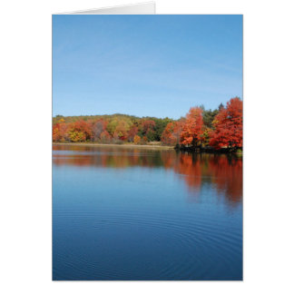 Lac Deer