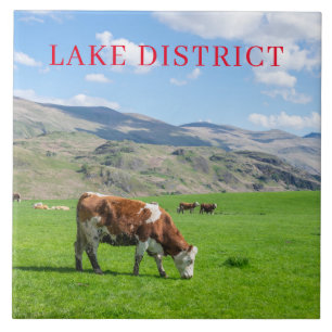 Lac District vaches vue pâturage carreaux céramiqu