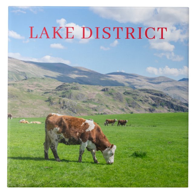 Lac District vaches vue pâturage carreaux céramiqu (Devant)