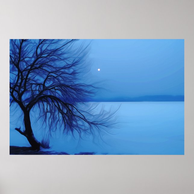Lac gelé - Poster (Devant)