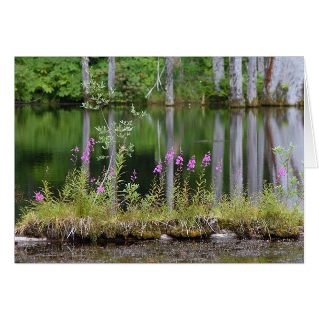 Lac june (Devant Horizontal)