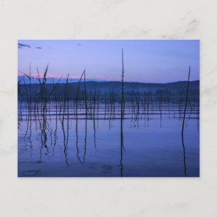 Lac serein et brumeux après une forte pluie carte