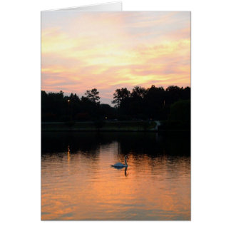 Lac swan