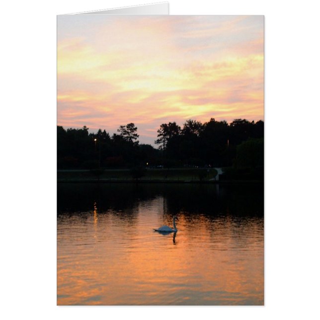 Lac swan (Devant)