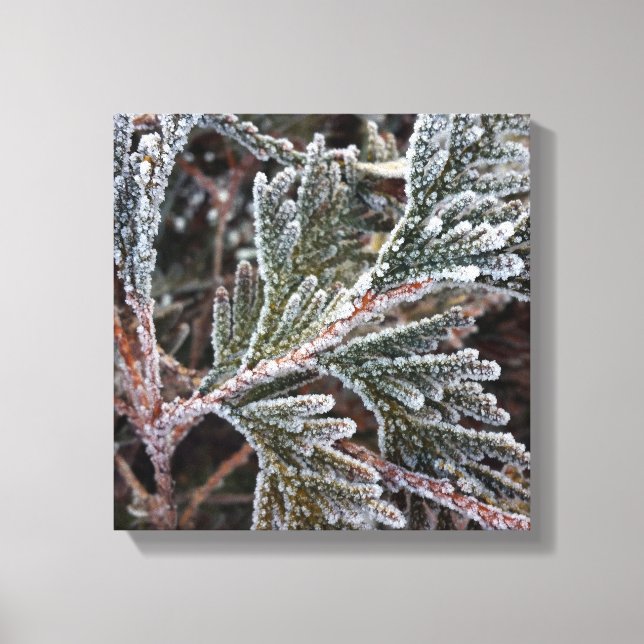Lace on twigs canvas print (Front)